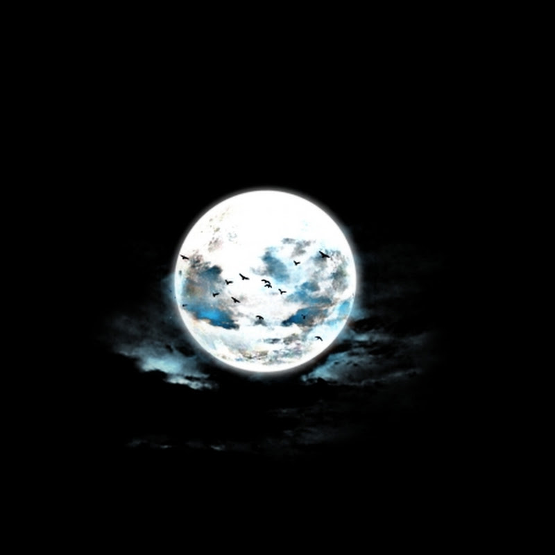Mystical Moon Asmr - immersive ASMR roleplay